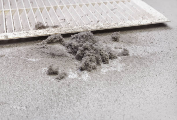 Best Professional Duct Cleaning Services  in Red Oak, TX